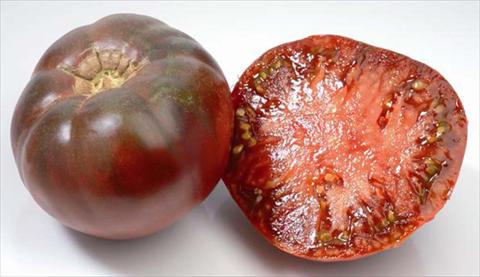 Foto de variedad de flores para ser usadas como: Maceta o Tarrina de colgar Solanum lycopersicum (pomodoro) Black Krim